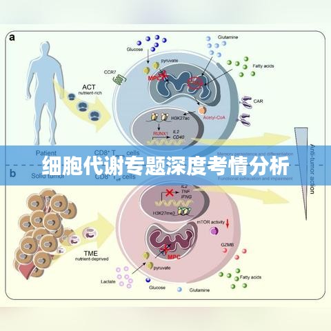 细胞代谢专题深度考情分析