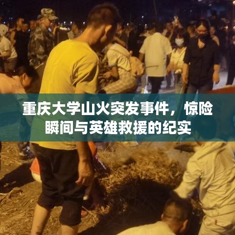 重庆大学山火突发事件，惊险瞬间与英雄救援的纪实