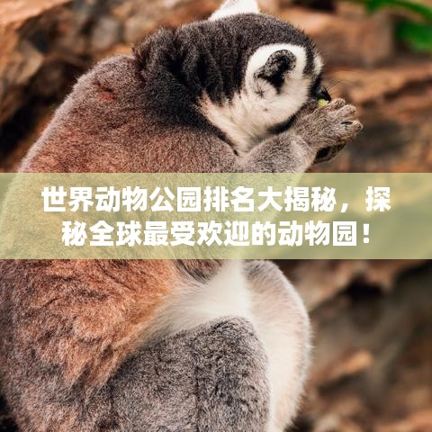 世界动物公园排名大揭秘，探秘全球最受欢迎的动物园！