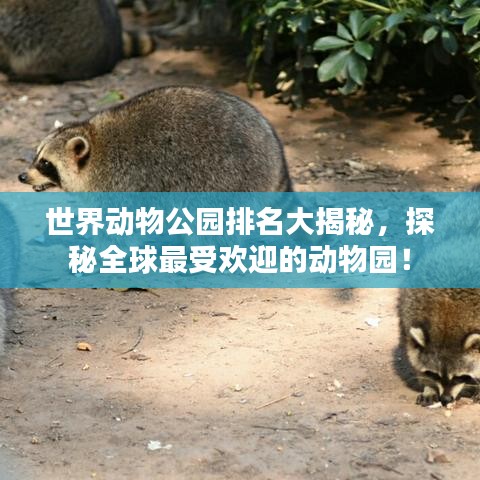 世界动物公园排名大揭秘,探秘全球最受欢迎的动物园!