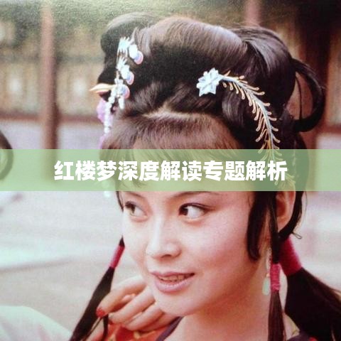 红楼梦深度解读专题解析