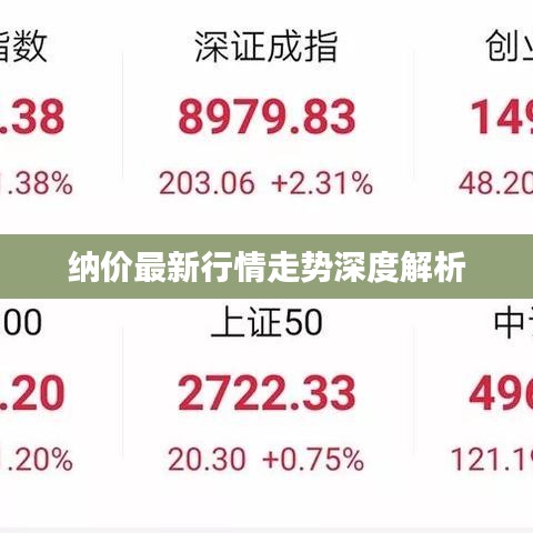 纳价最新行情走势深度解析