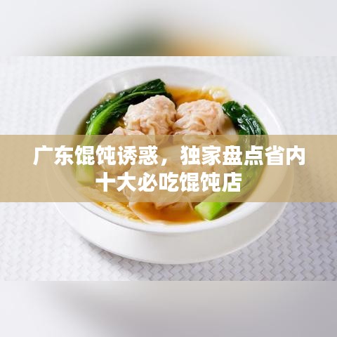 广东馄饨诱惑，独家盘点省内十大必吃馄饨店