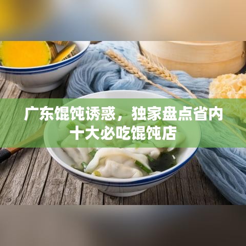 广东馄饨诱惑,独家盘点省内十大必吃馄饨店