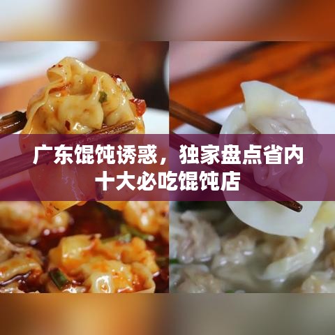 广东馄饨诱惑,独家盘点省内十大必吃馄饨店