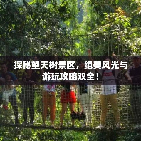 探秘望天树景区，绝美风光与游玩攻略双全！