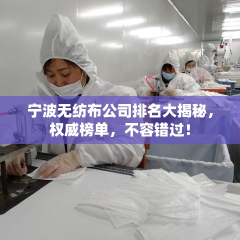 宁波无纺布公司排名大揭秘，权威榜单，不容错过！