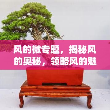 风的微专题，揭秘风的奥秘，领略风的魅力