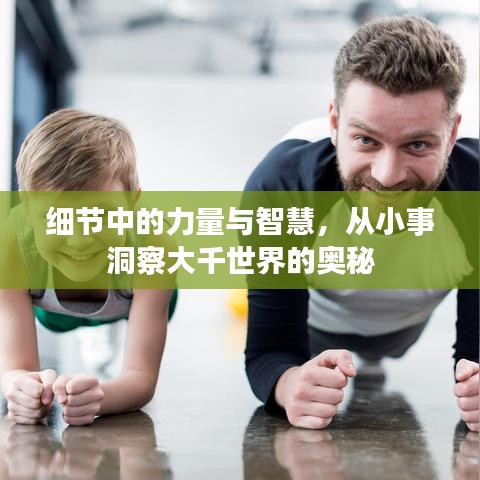 细节中的力量与智慧，从小事洞察大千世界的奥秘