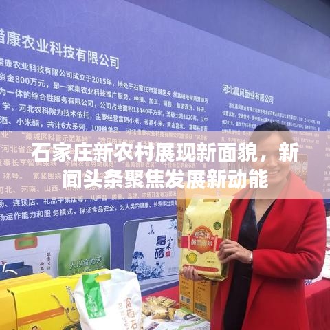 石家庄新农村展现新面貌，新闻头条聚焦发展新动能