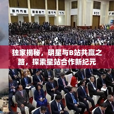 独家揭秘，明星与B站共赢之路，探索星站合作新纪元