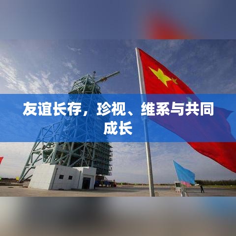 友谊长存,珍视、维系与共同成长