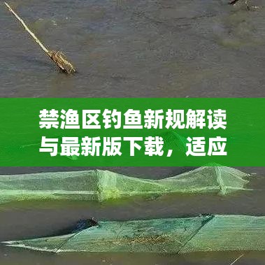 禁渔区钓鱼新规解读与最新版下载,适应新钓鱼规范,一网打尽所有要点