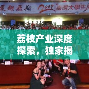 荔枝产业深度探索，独家揭秘荔枝产业的独特魅力