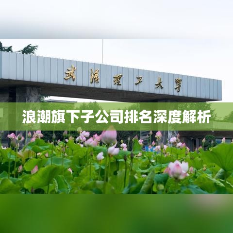 浪潮旗下子公司排名深度解析
