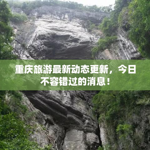 重庆旅游最新动态更新，今日不容错过的消息！