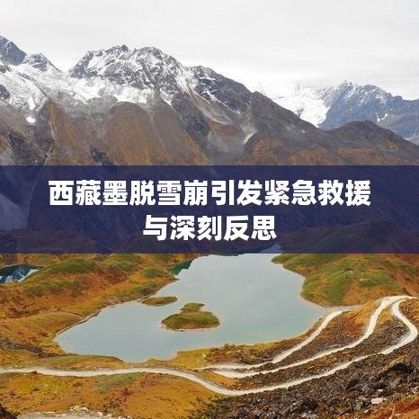 西藏墨脱雪崩引发紧急救援与深刻反思