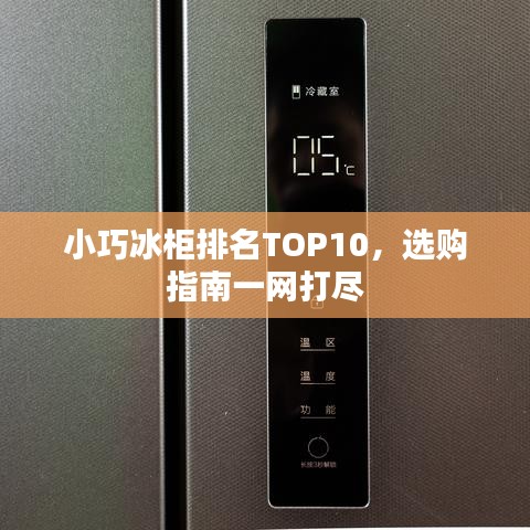 小巧冰柜排名TOP10,选购指南一网打尽