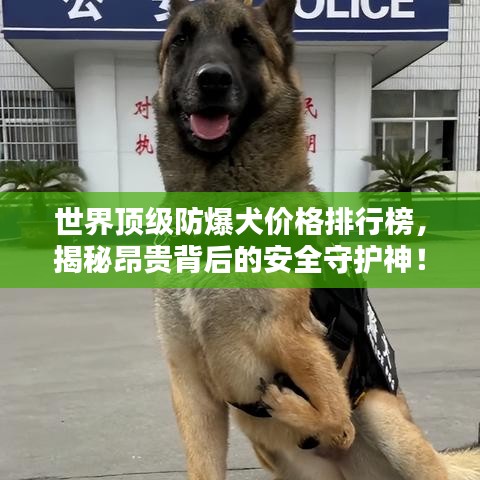 世界顶级防爆犬价格排行榜，揭秘昂贵背后的安全守护神！