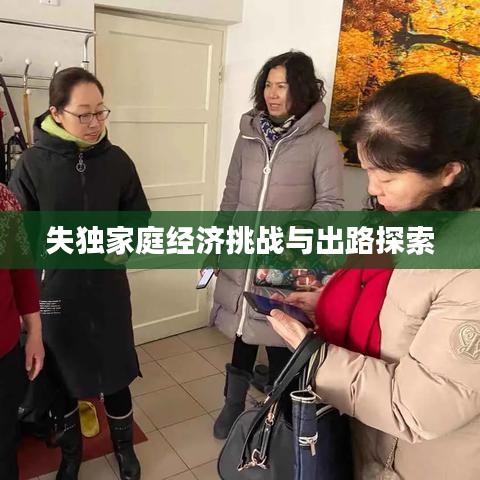 失独家庭经济挑战与出路探索
