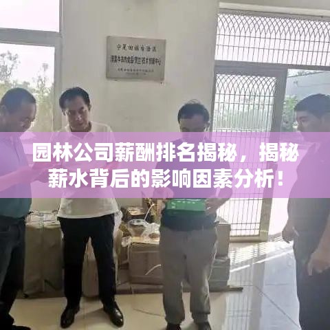 园林公司薪酬排名揭秘，揭秘薪水背后的影响因素分析！