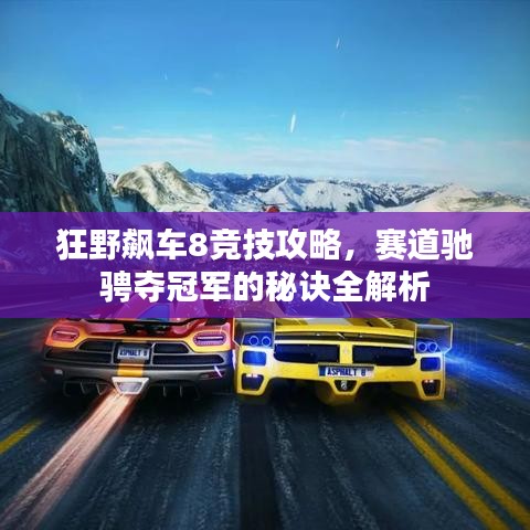 狂野飙车8竞技攻略，赛道驰骋夺冠军的秘诀全解析