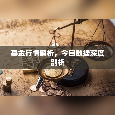 基金行情解析，今日数据深度剖析