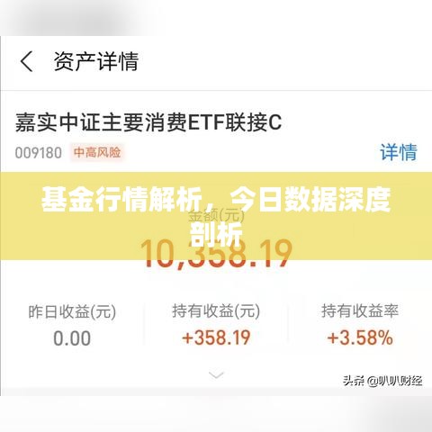 基金行情解析,今日数据深度剖析