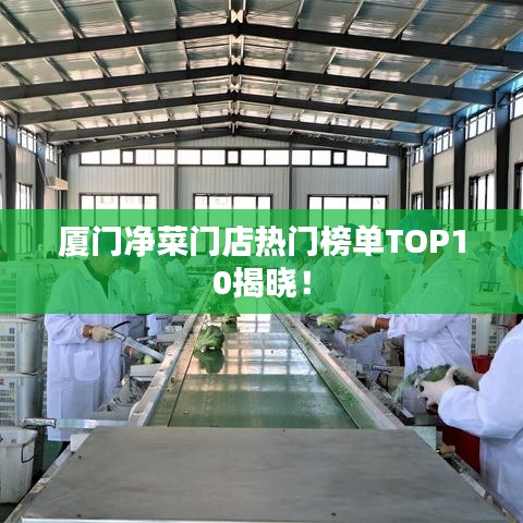 厦门净菜门店热门榜单TOP10揭晓！