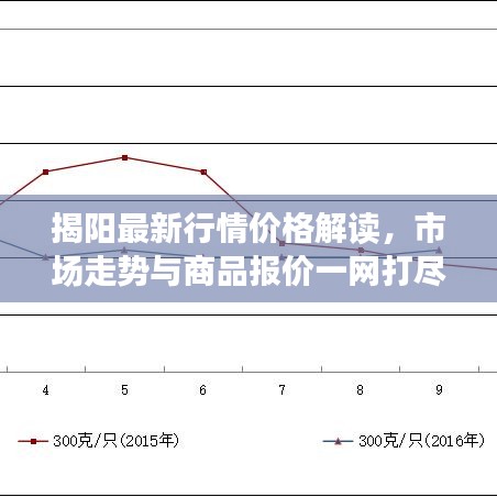揭阳最新行情价格解读，市场走势与商品报价一网打尽