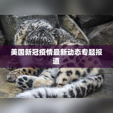 美国新冠疫情最新动态专题报道