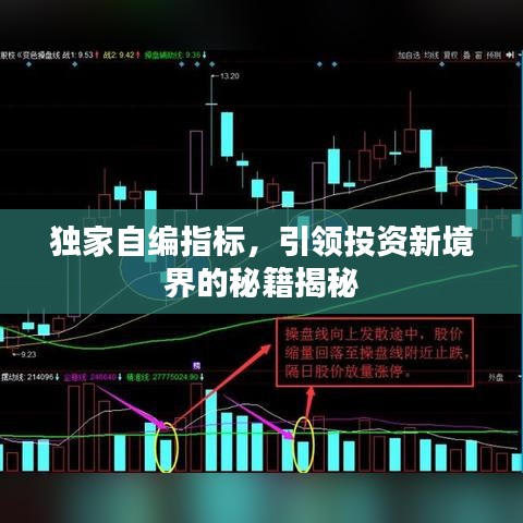 独家自编指标，引领投资新境界的秘籍揭秘