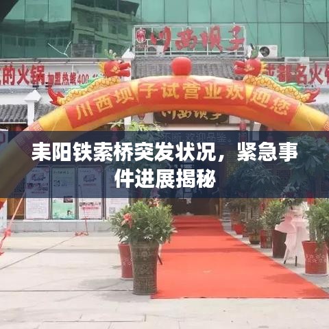 耒阳铁索桥突发状况，紧急事件进展揭秘
