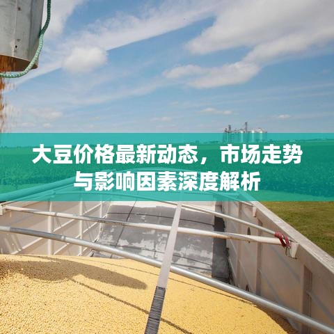 大豆价格最新动态,市场走势与影响因素深度解析