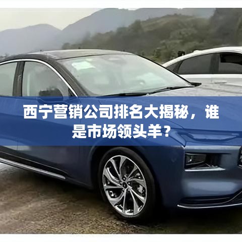 西宁营销公司排名大揭秘，谁是市场领头羊？