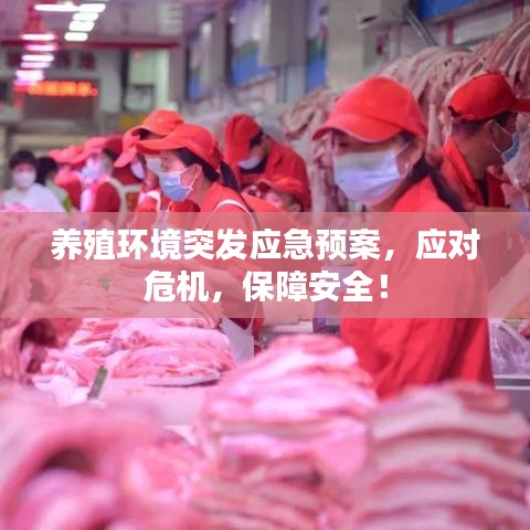 养殖环境突发应急预案，应对危机，保障安全！