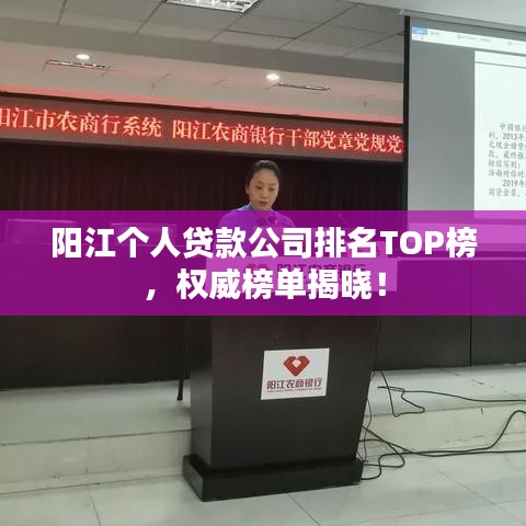 阳江个人贷款公司排名TOP榜，权威榜单揭晓！