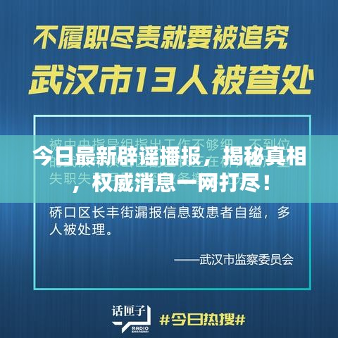 今日最新辟谣播报,揭秘真相,权威消息一网打尽!