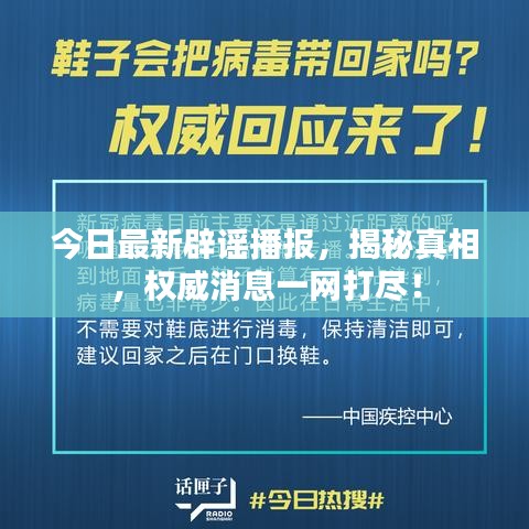 今日最新辟谣播报，揭秘真相，权威消息一网打尽！