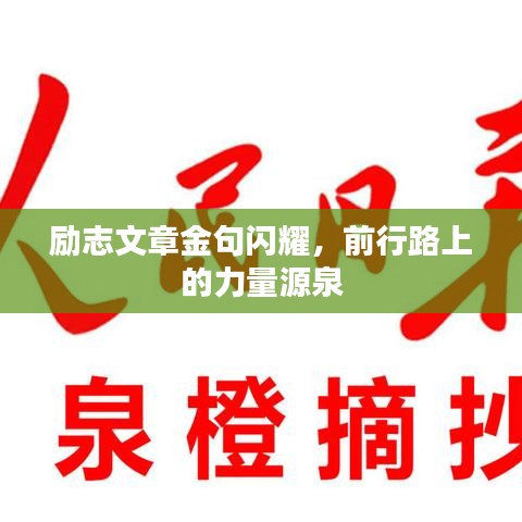 励志文章金句闪耀，前行路上的力量源泉