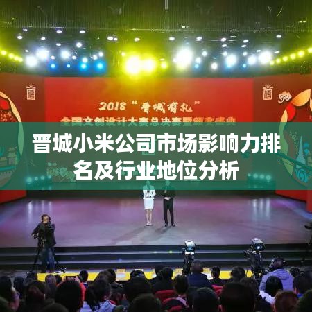 晋城小米公司市场影响力排名及行业地位分析
