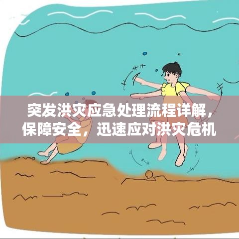 突发洪灾应急处理流程详解，保障安全，迅速应对洪灾危机！