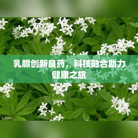乳腺创新良药，科技融合助力健康之旅