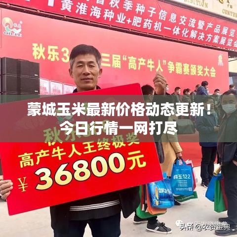 蒙城玉米最新价格动态更新！今日行情一网打尽