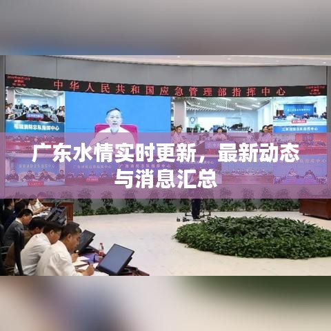 广东水情实时更新，最新动态与消息汇总
