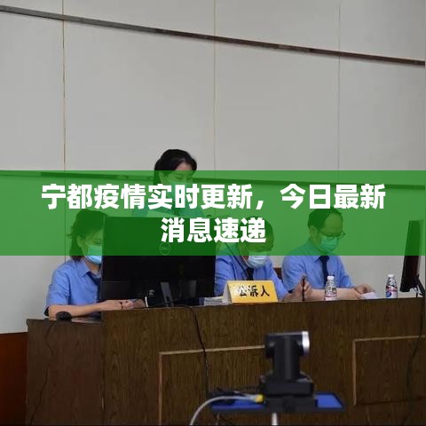 宁都疫情实时更新，今日最新消息速递