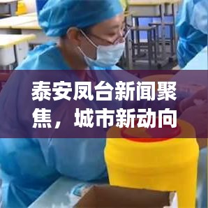 泰安凤台新闻聚焦，城市新动向与发展亮点揭秘