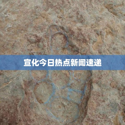 抛砖引玉 第6页