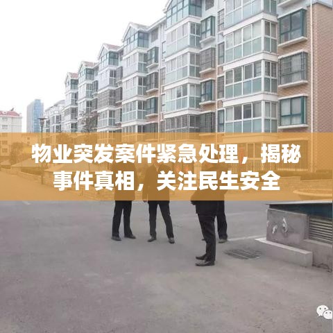 物业突发案件紧急处理，揭秘事件真相，关注民生安全