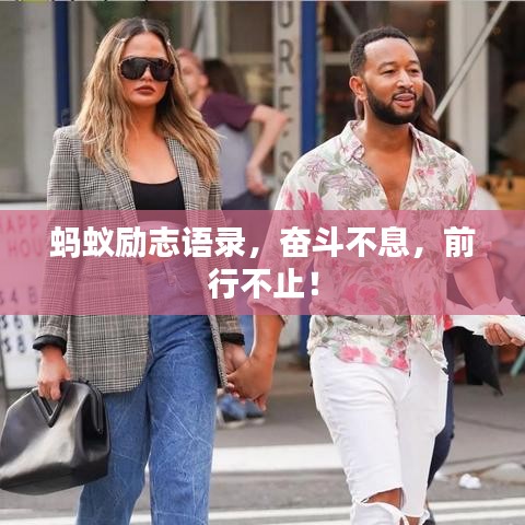 蚂蚁励志语录，奋斗不息，前行不止！